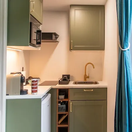 Apartment Les Plumes De Regina - History And Charm Aix-les-Bains